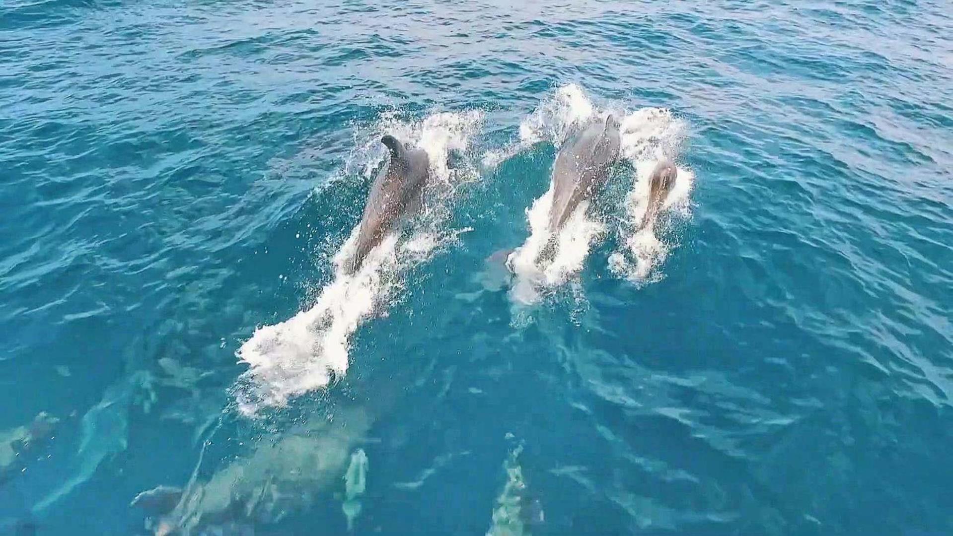 Saona By Algarve Vacation